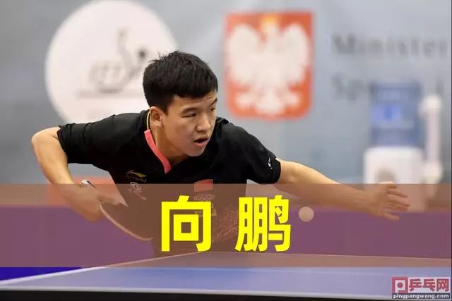 决的关键 决的关键